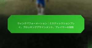 ウィング-Tフォーメーション：ミスディレクションプレイ、ブロッキングアサインメント、プレイヤーの役割